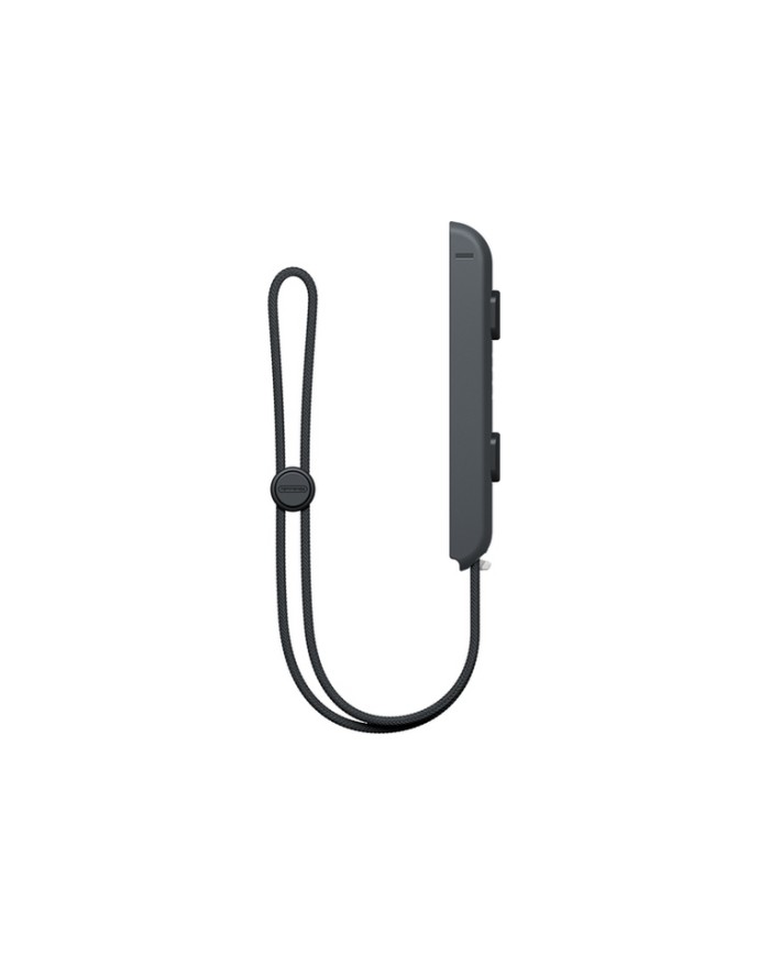 Nintendo Switch Joy-Con, HD Rumble, Motion Control