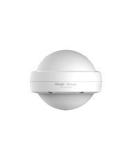 Access Point Reyee RG-RAP6202G, WiFi5 Gigabit, IP68