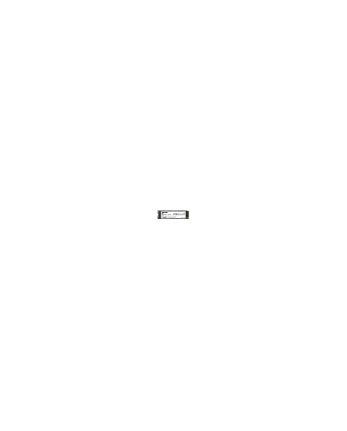 PATRIOT SSD INTERNO P300 256GB M.2 PCIE R/W 1700/1100 GEN 3X4