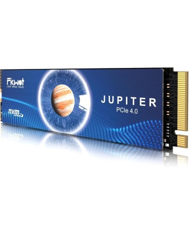 FX991 SSD M.2 NVMe 1TB